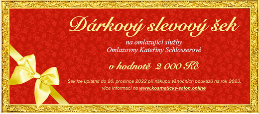 Dárkové šeky 28. 11. 2022.jpg